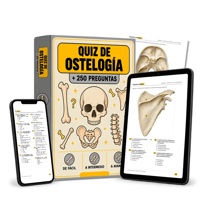 Quiz de Osteología